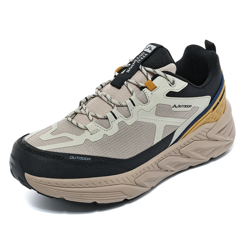 Women Sneakers