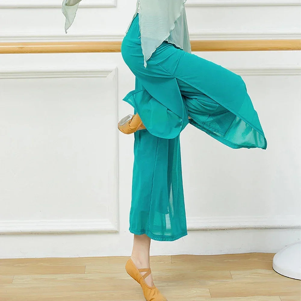 Women Modern Dance Pants